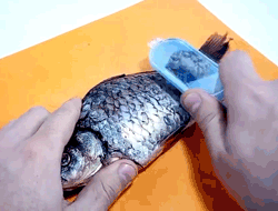 Fish scale remover – Zařízení na čištění rybích šupin slider