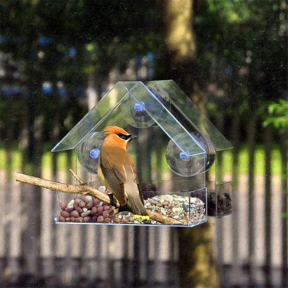 Birdbox – Průhledná ptačí budka 03
